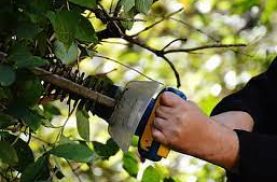 elektrische heggenschaar